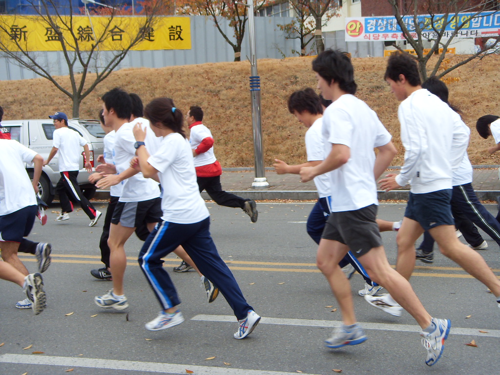 2008. 11 총동창회 마라톤 대회