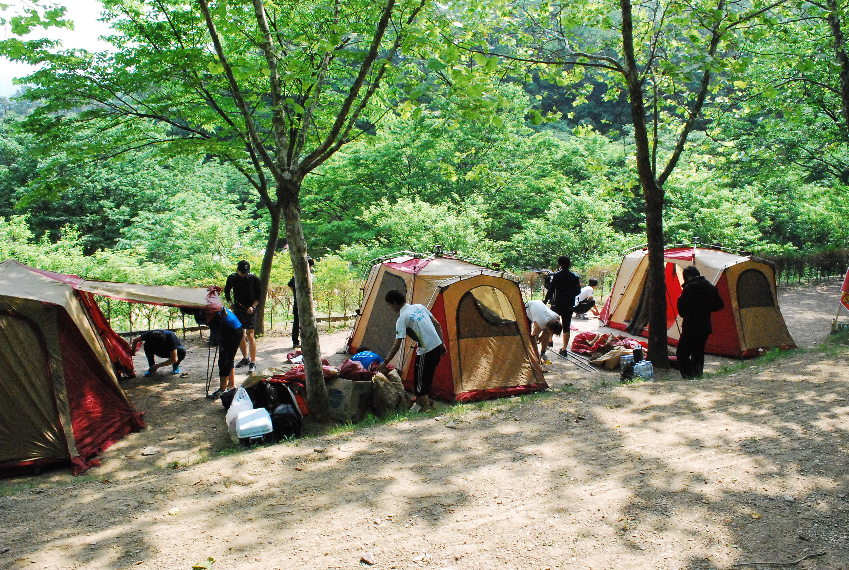 2012 캠핑과 야영